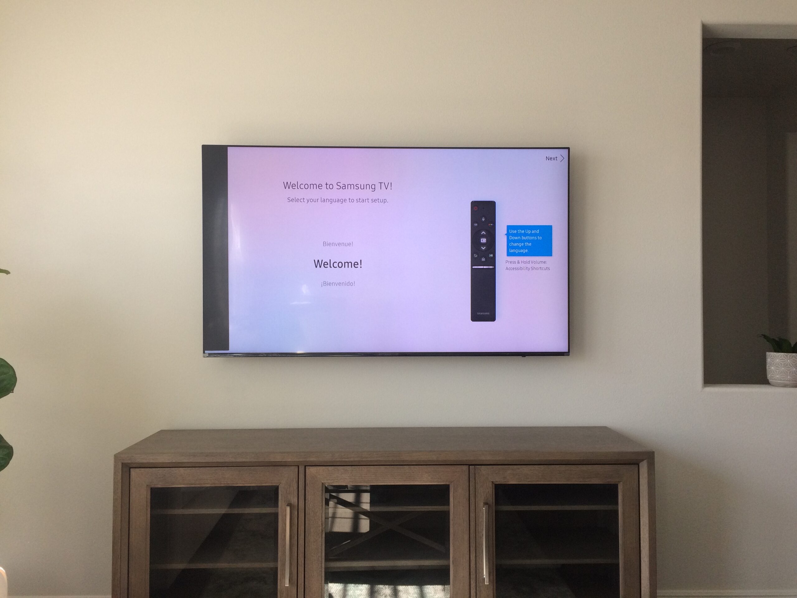 tv mounting service